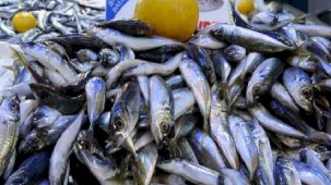 Balık fiyatları ikiye katladı