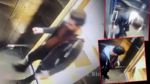 Başakşehir'de dehşet! Asansörde ezip tekmelediği kediyi takip edip öldürdü