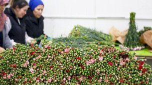 Çiçek ihracatında 2024 hedefi 160 milyon dolar