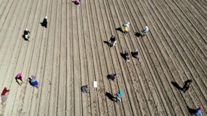 Çiftçilerin destek ödemeleri başladı