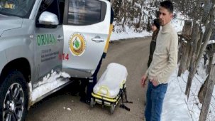 Devrilen traktörü fark eden ormancılar hayat kurtardı