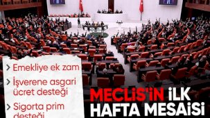 Emekliye zam bu hafta Meclis Genel Kurulu'nda görüşülecek