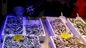 Fiyatıyla şaşırttı! Trabzon'da hamsinin kilosu 150-180 TL arasında