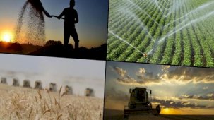 Geçen yıl kırsal kalkınma projelerine 4,7 milyar liralık destek aktarıldı