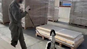 Gümrüklerde büyük operasyon