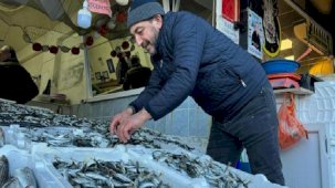 Hamsi tezgahtaki yerini istavrite kaptırdı