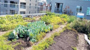 İsraf var, besleyici değil, sağlığı tehdit ediyor! Gıdada çok yönlü tehdit