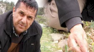 Mersin'de keşfetti, ismi verildi: Fritillaria Nevzatcaglari