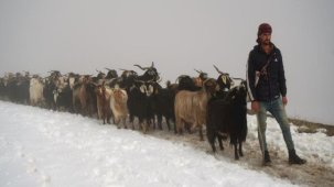 Muş'ta kar üzerinde zorlu yolculuk! 4 saat sürdü...