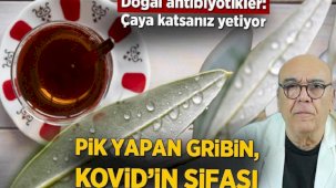 Pik yapan gribin, Kovid'in şifası! Doğal antibiyotikler: 'Çaya katsanız yetiyor'