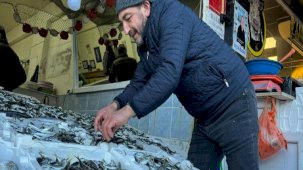 Rize'de hamsi tezgahtaki krallığını istavrite kaptırdı