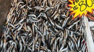 Sıcak hava tezgahları vurdu! Balık azalmaya başladı