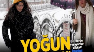 Son dakika... Meteoroloji’den yoğun kar alarmı! İlleri tek tek açıkladı: İstanbul için saat verildi