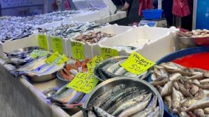 Tezgahlarda balık çeşitliliği arttı