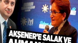 Togo Kuleleri'ndeki görüşmeyle başlayan tartışma! Akşener'in 'salak ve ahmak' sözlerine cevap geldi