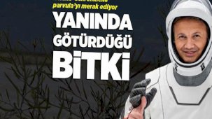 Türkiye'nin ilk astronotu Gezeravcı yanında götürdü! Herkes ‘Schrenkiella parvula'yı merak ediyor