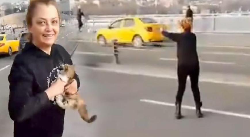 Unkapanı Köprüsü'nde yavru kedi operasyonu! Trafiği durdurdu