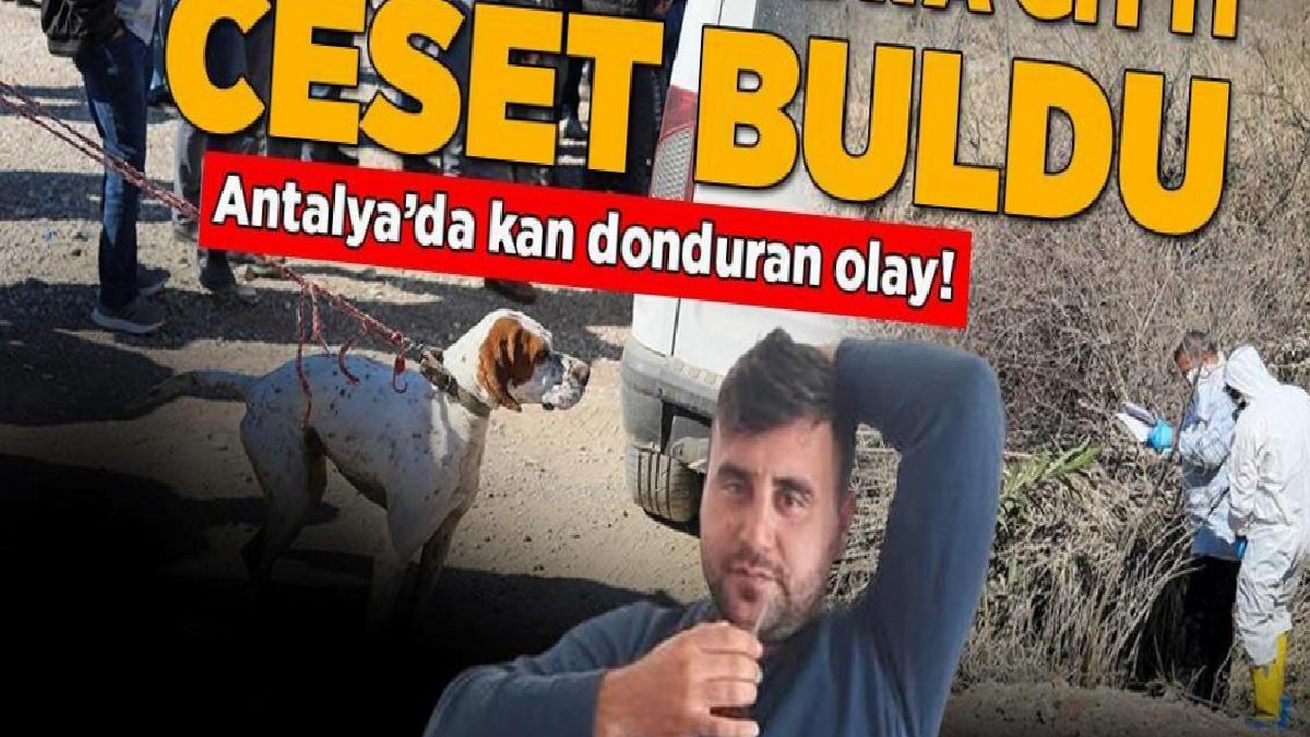 Antalya'da kan donduran olay! Ördek avlamaya gitti, ceset buldu