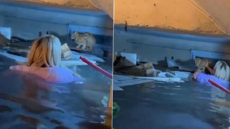 Bu görüntüler Antalya'dan! Su dolu bodruma girdi, kediyi kurtardı