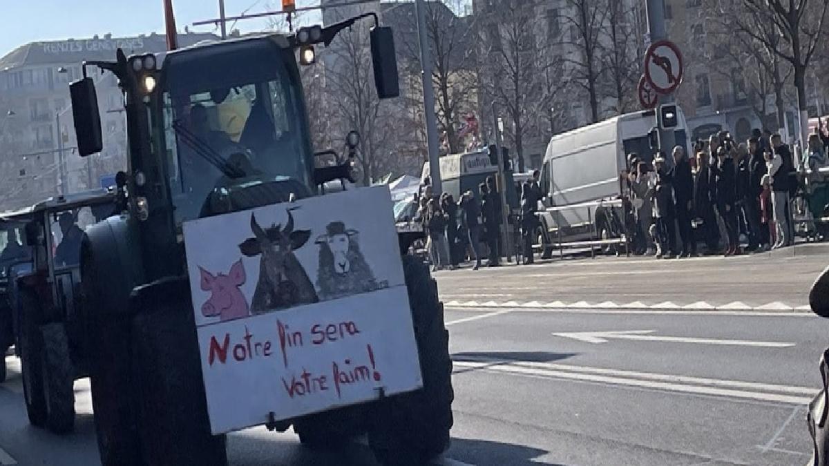 İsviçre'de çiftçiler protesto düzenledi