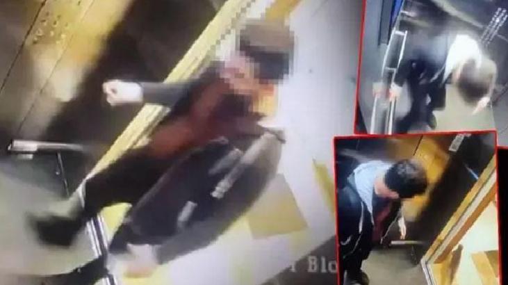 Kediyi asansörde sıkıştırıp ezerek öldürdü! Cezası belli oldu