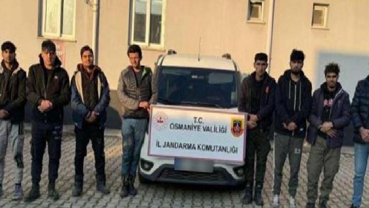 Osmaniye’de göçmen operasyonu