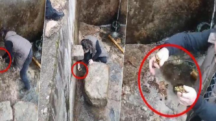 Profesör kendisine bildirilen konuma koştu: 450 bireyi kurtarmış olduk