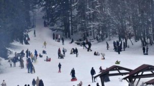 Abant Gölü Milli Parkı'nda ziyaretçi yoğunluğu: Uzun araç kuyrukları oluştu