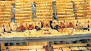 Altın sevdası, siyanür cabası...