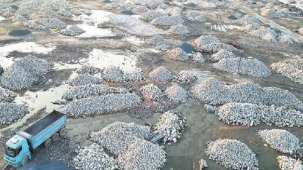 Antakya’da tarih küllerinden doğacak