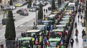 Çiftçilerin protestosu sonrası Fransa ve İspanya arasında domates tartışması