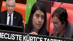 DEM Partili ve CHP'li vekiller Kürtçe konuşurken mikrofon kesildi