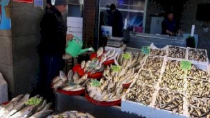 Hamsi sezonu erken kapanıyor