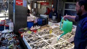 Hamsinin bolluğundan eser kalmadı