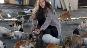 'Hayvanlar artık çöpten bile yiyecek bulamıyor, çünkü şehirde insan yok'