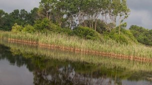 İbrahim Yumaklı: 6 bin 418 sulak alan kayıt altına alındı