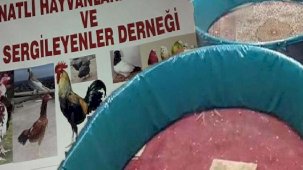Kanatlı Hayvanlar Derneği'nde şok baskın! Ekipler şaşkına döndü