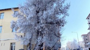 Meteoroloji'den yeni uyarı geldi! Türkiye’nin en soğuk yeri eksi 30,5 derece