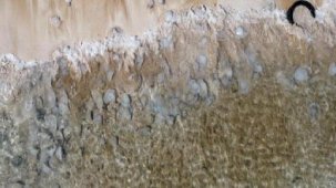 Sahilde şaşırtan manzara! 'İnşallah bir şeyin habercisi değildir'