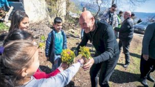 Tam kadroyla yaraları sardı