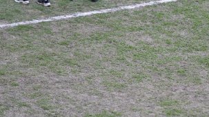 TFF'den kulüplere 'zemin' uyarısı: Statları kapatırız