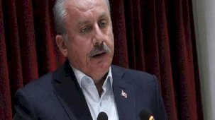 'Türkiye'nin birçok konuda yalnız kalması anlamlıdır'