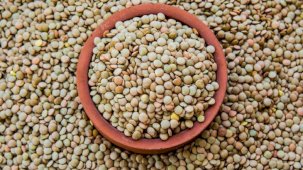 Yeşil mercimekte vergi sıfıra indi