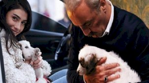 Yılmaz Erdoğan, 'İnci Taneleri’nin sevimli dostu sahipsiz Coci'yi sahiplendi!