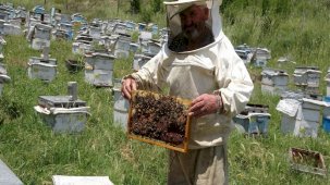 Yozgat'ta gezgin arıcılar nakliye gelirlerinin artmasından şikayetçi
