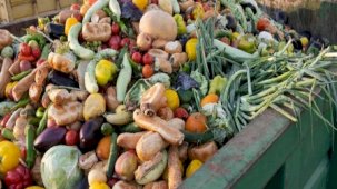 2022'de dünya genelinde günlük 1 milyarı aşkın öğün çöpe gitti