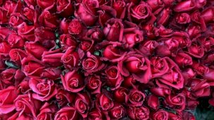 8 Mart Dünya Kadınlar Günü resimli mesajlar neler? 2024 Dünya Kadınlar Günü resimli tebrik mesajları!