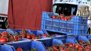 Antalya’da domates fiyatı arttı