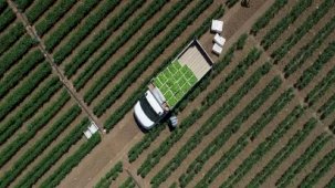 Çiftçilerin hesabına 142,6 milyon liralık destekleme ödemesi yapıldı