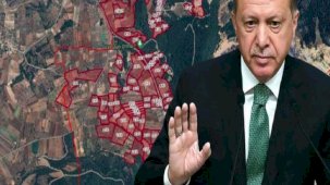 Cumhurbaşkanı Erdoğan, Akbelen'deki arazileri kamulaştırma kararını iptal etti